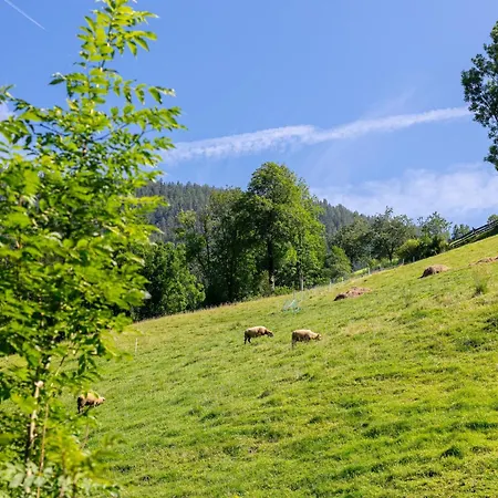 Lägenhet Zellner 7 Und 8 Alpbach